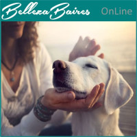 Curso Online de Reiki Animal Ascensión Nivel 1 y Maestría (CON REQUISITOS) Curso Online de Reiki Animal Ascensión Nivel 1 y Maestría (CON REQUISITOS)